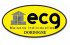 ECG