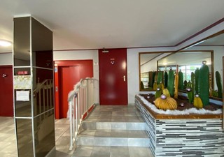 Studio, T1 et T1 bis