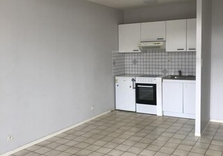 Studio, T1 et T1 bis