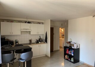 Studio, T1 et T1 bis